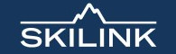 Skilink