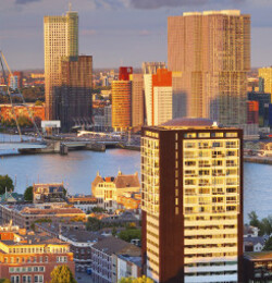 Rotterdam Vignette