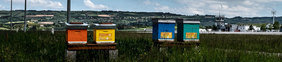 Environnement